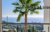 ventana pasillo Hill palmera (1280x768)