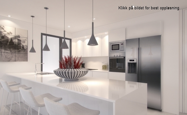 C_kitchen_american fridge