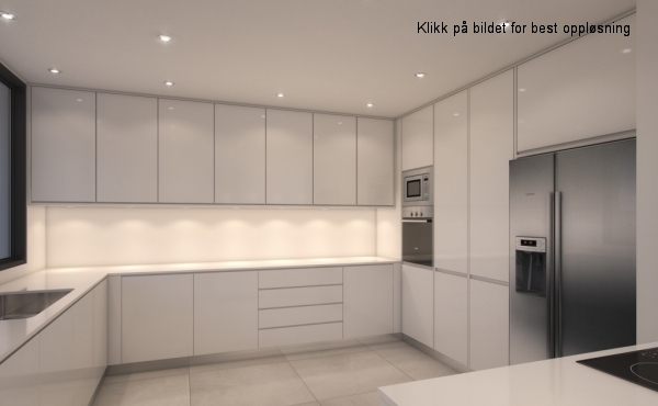 F_kitchen1_american fridge