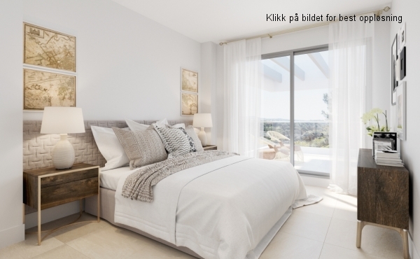 6 Orion bed