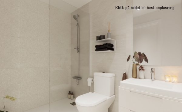 8 Orion bathroom 2